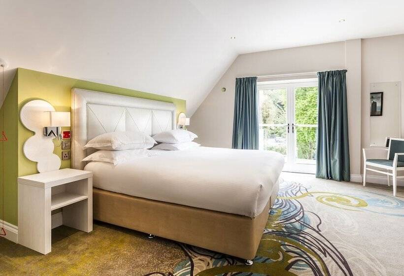 Номер Стандарт Адаптированный для Инвалидов, The Daffodil Hotel & Spa