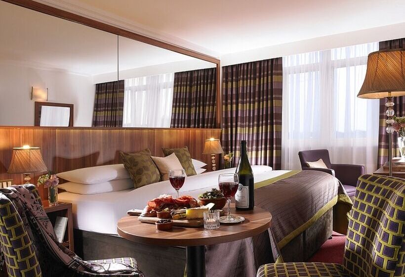 스탠다드 룸, Dublin Skylon