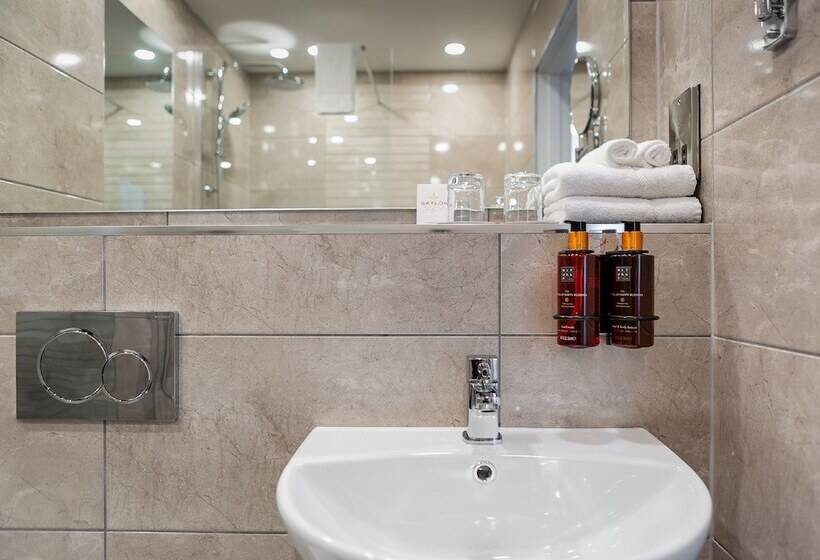 스탠다드 룸 킹사이즈 침대, Dublin Skylon