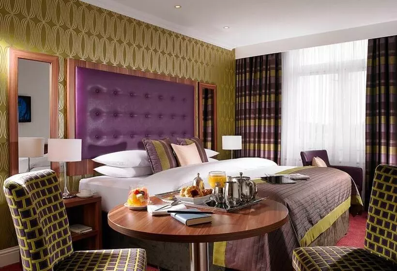 اتاق استاندارد با تخت بزرگ, Dublin Skylon