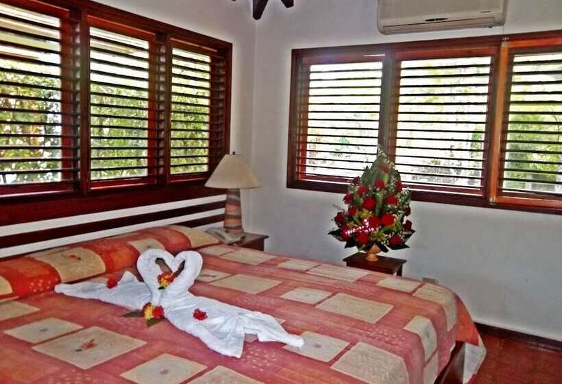 اتاق استاندارد, Palococo