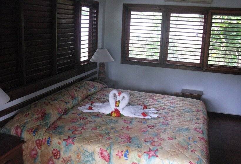 اتاق استاندارد, Palococo