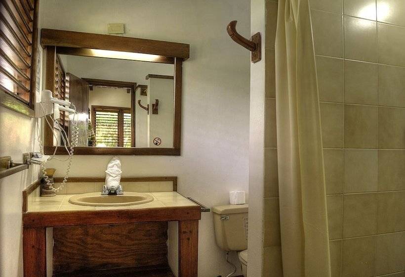 اتاق استاندارد, Palococo