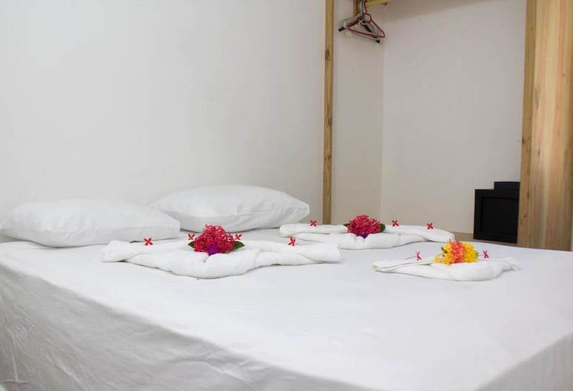 بنگله خانوادگی, Palococo