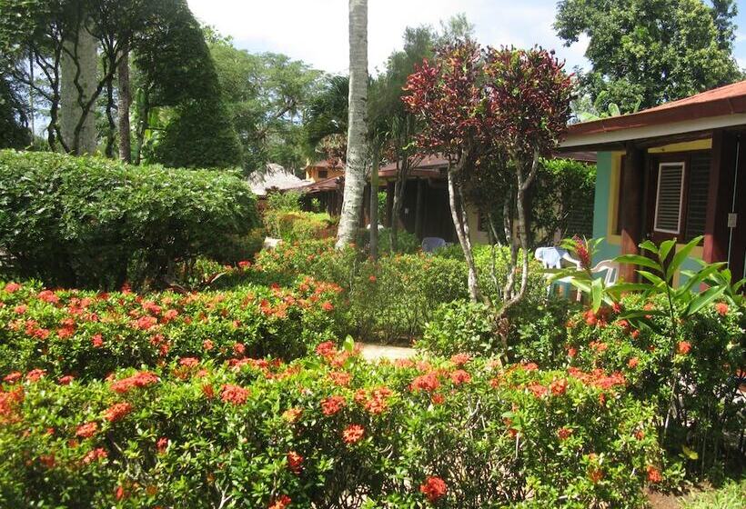 بنگله خانوادگی, Palococo