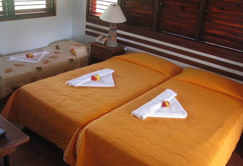 اتاق استاندارد, Palococo