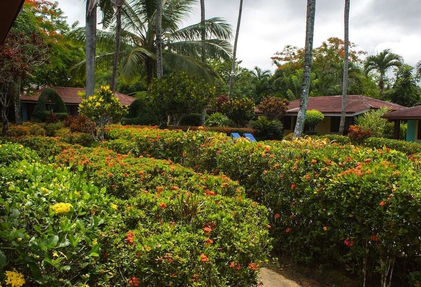 اتاق استاندارد, Palococo