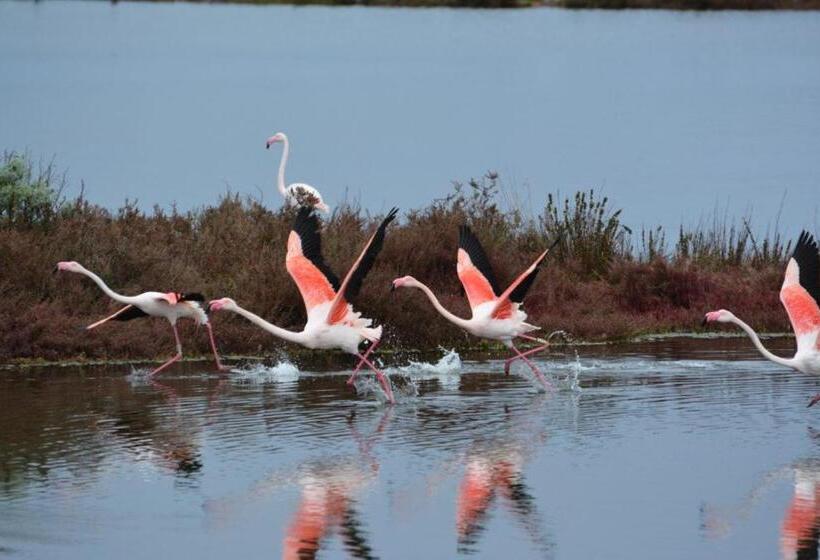 جناح مطلّ علي البحر, Lu  Hotel Riviera
