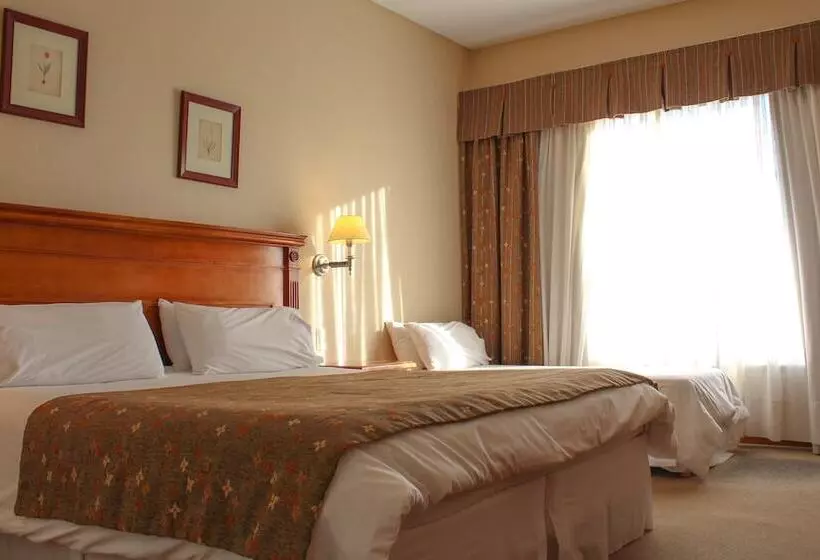 اتاق استاندارد سه نفره, Terrazas Del Calafate