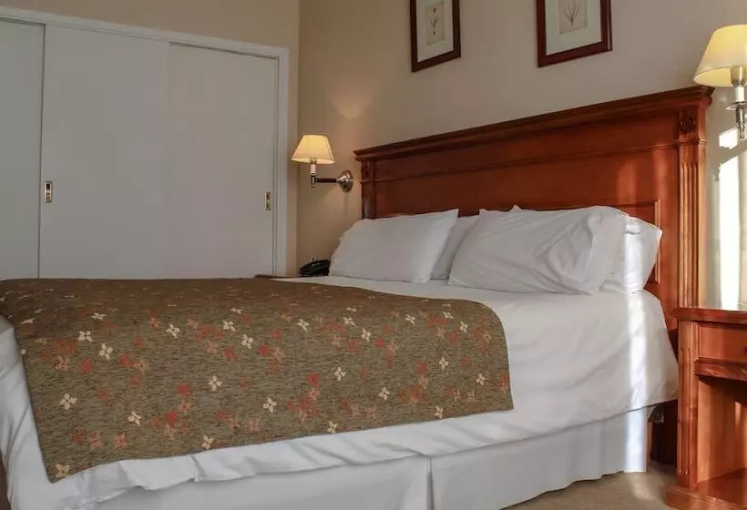 سوییت, Terrazas Del Calafate