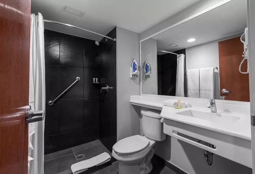اتاق استاندارد با 2 تخت دوبل, City Express Plus By Marriott Guadalajara Expo