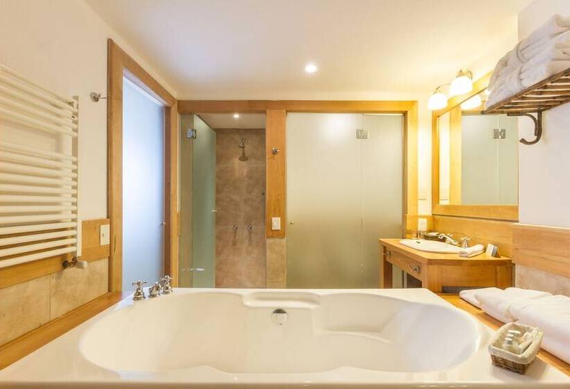 带露台的小型套房, Correntoso Lake & River