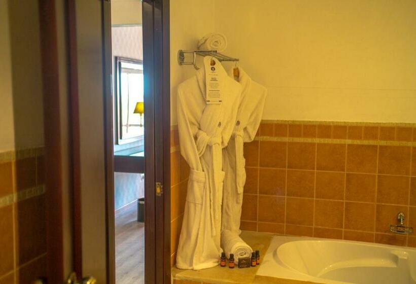 高级单人间, Grand Mogador Agdal & Spa