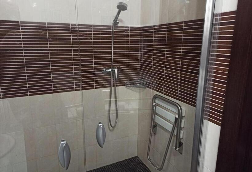 Номер Стандарт Адаптированный для Инвалидов, Hidalgo