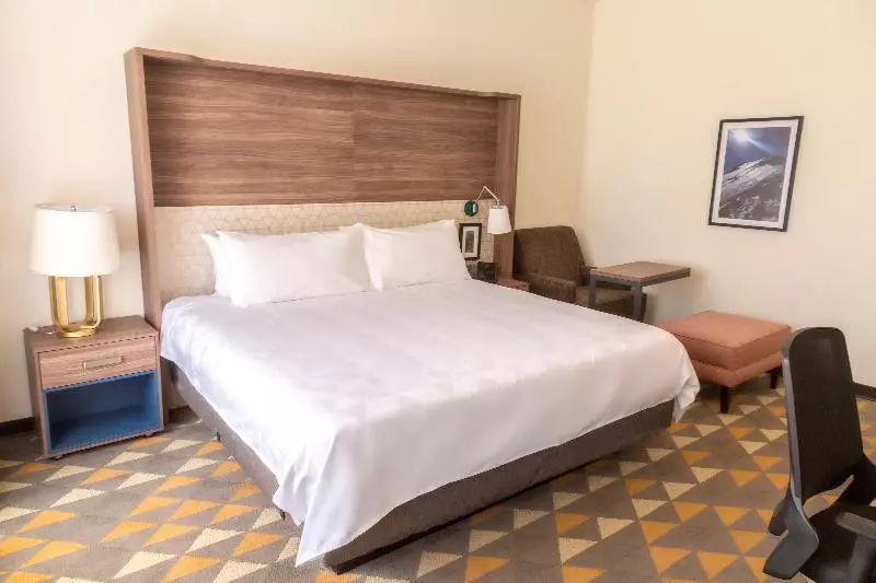 キングサイズベッドのスタンダードルーム, Holiday Inn Tlaxcala, An Ihg