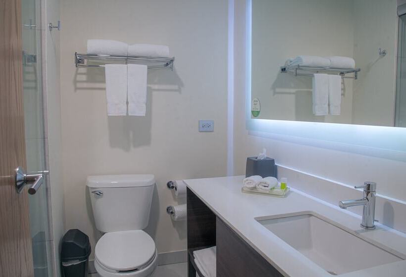 غرفة قياسية, Holiday Inn Tlaxcala, An Ihg