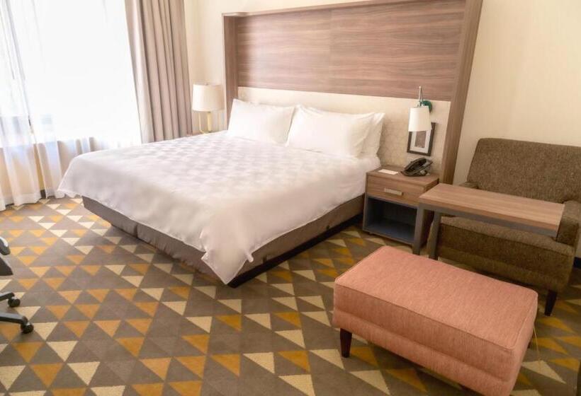 キングサイズベッドのスタンダードルーム, Holiday Inn Tlaxcala, An Ihg