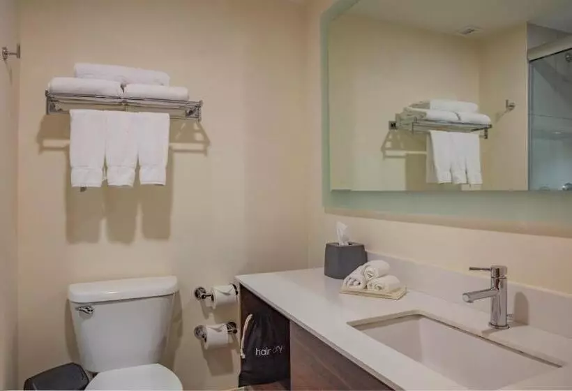 キングサイズベッドのスタンダードルーム, Holiday Inn Tlaxcala, An Ihg