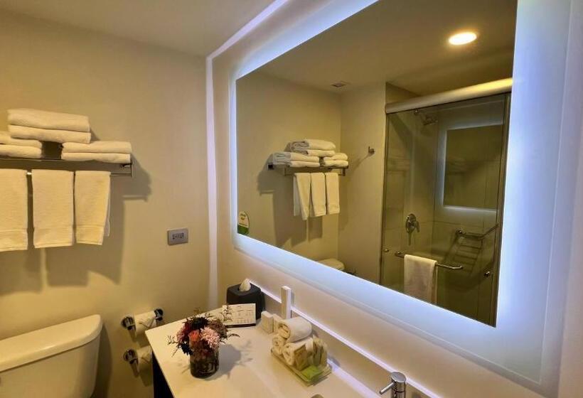 キングサイズベッドのスタンダードルーム, Holiday Inn Tlaxcala, An Ihg