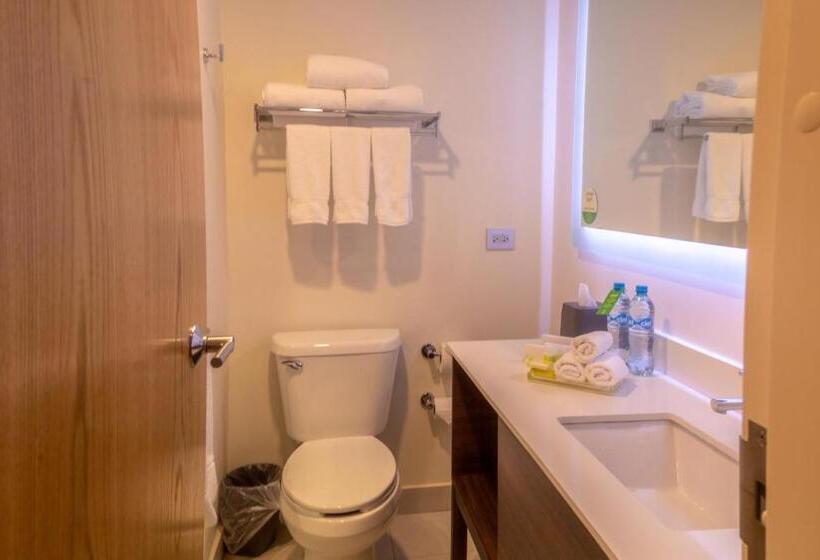 غرفة قياسية سرير كينج, Holiday Inn Tlaxcala, An Ihg