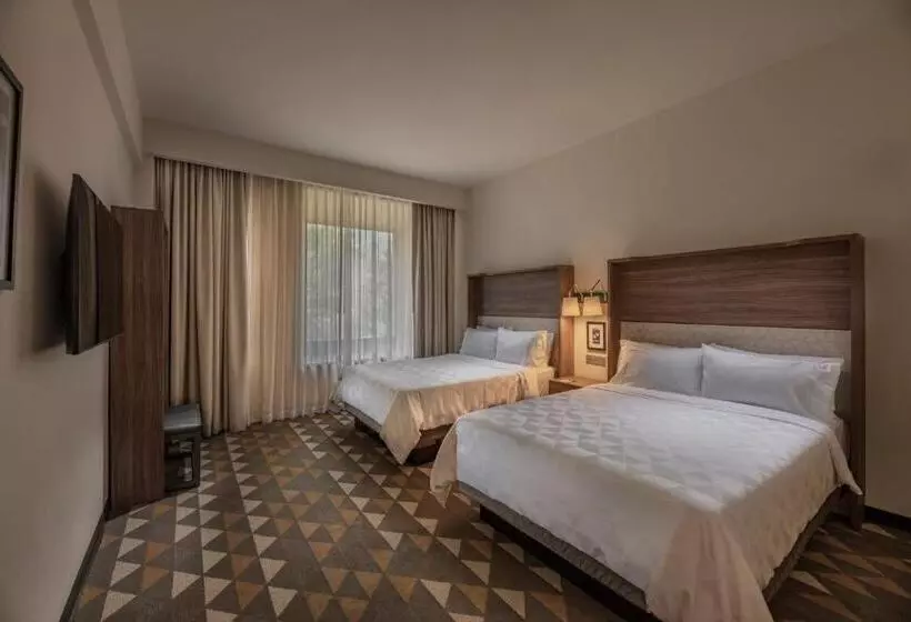 スタンダードルーム, Holiday Inn Tlaxcala, An Ihg