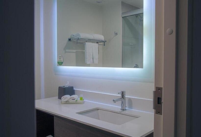 غرفة قياسية, Holiday Inn Tlaxcala, An Ihg