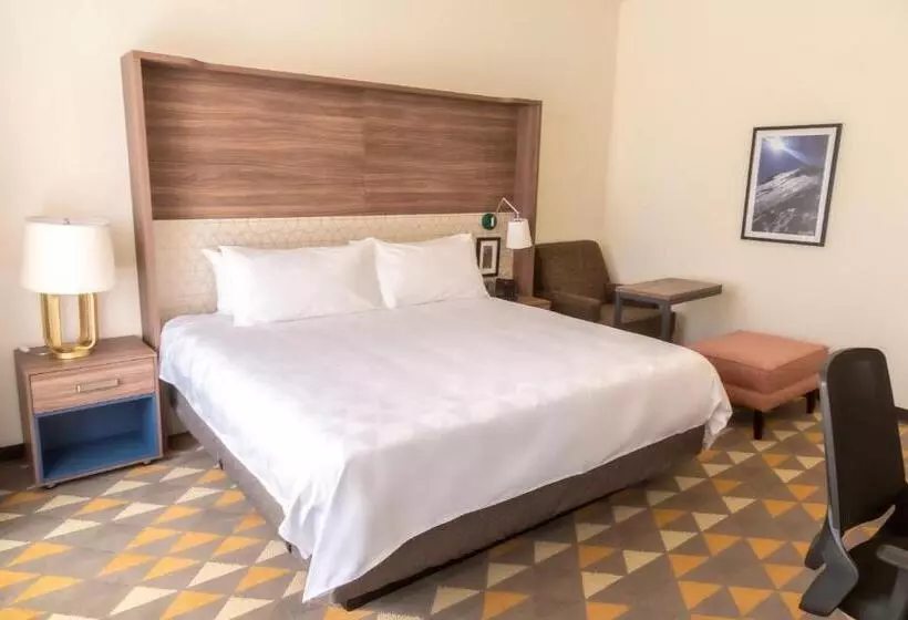 身障者適用キングサイズベッドルーム, Holiday Inn Tlaxcala, An Ihg