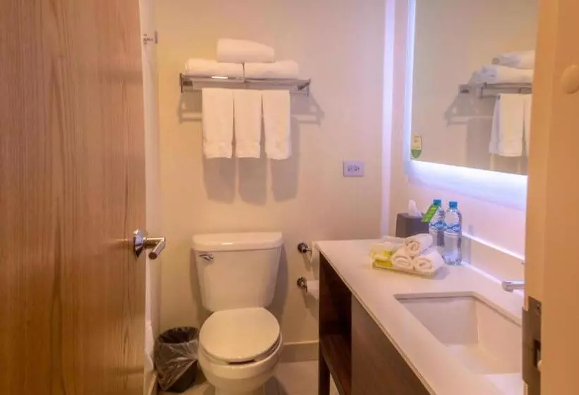 身障者適用キングサイズベッドルーム, Holiday Inn Tlaxcala, An Ihg