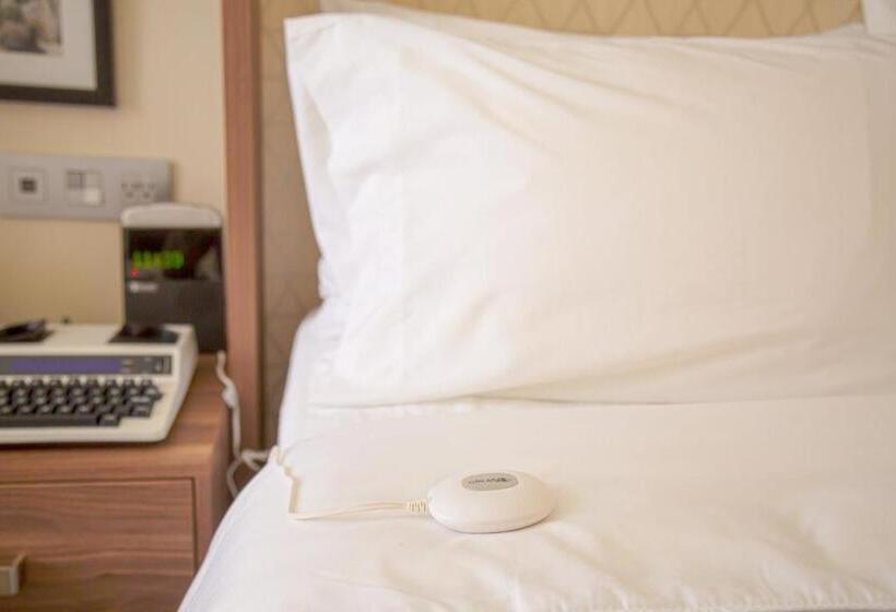 غرفة قياسية سرير كينج لذوى الإحتياجات الخاصة, Holiday Inn Tlaxcala, An Ihg