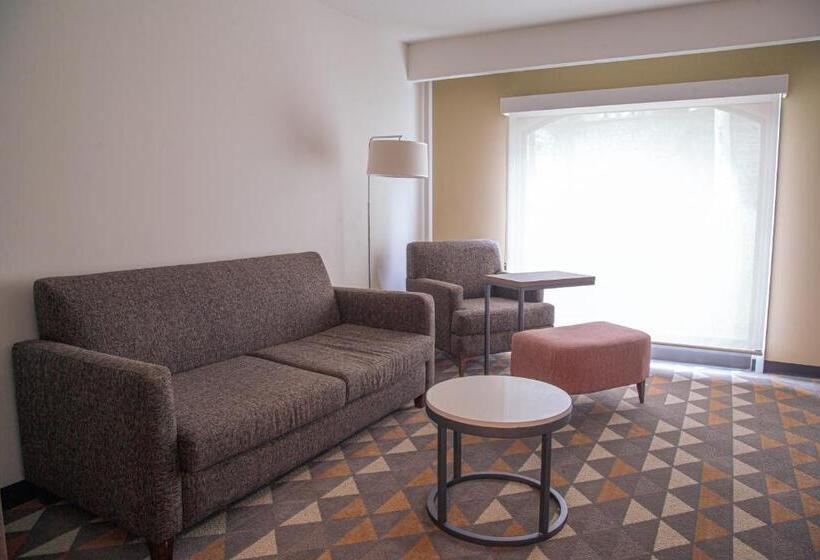 جناح سرير كينج, Holiday Inn Tlaxcala, An Ihg