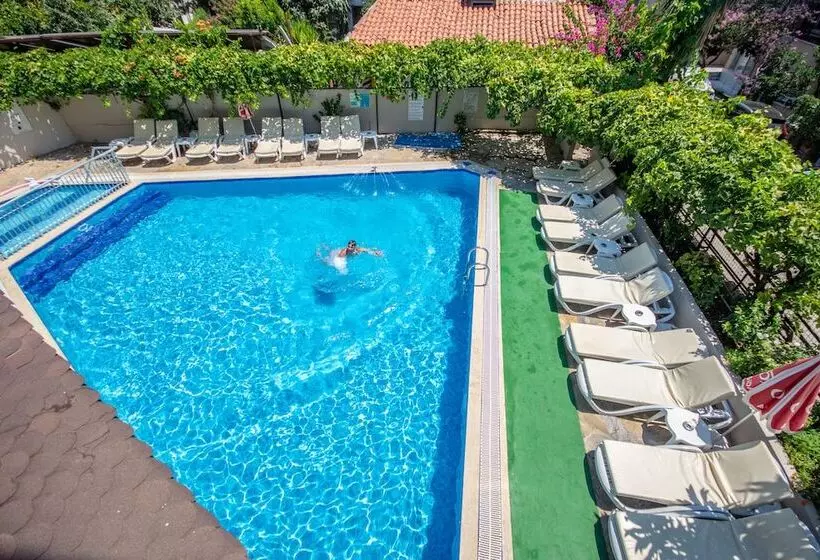 استودیوی استاندارد, Kamelya Apartments