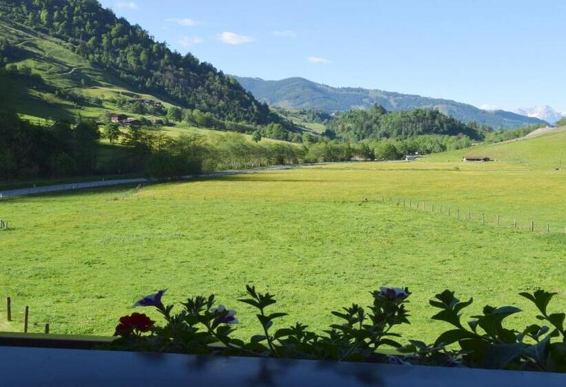 اتاق استاندارد با بالکن, Künstleralm