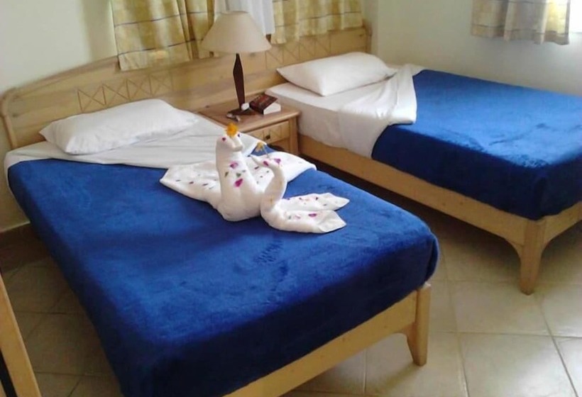 سوییت, Logaina Sharm Resort