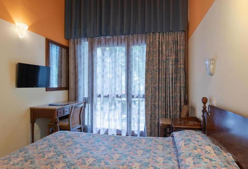 Номер Basic, Palme & Suite