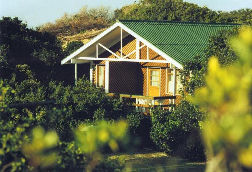 샬레, Pine Lodge Resort