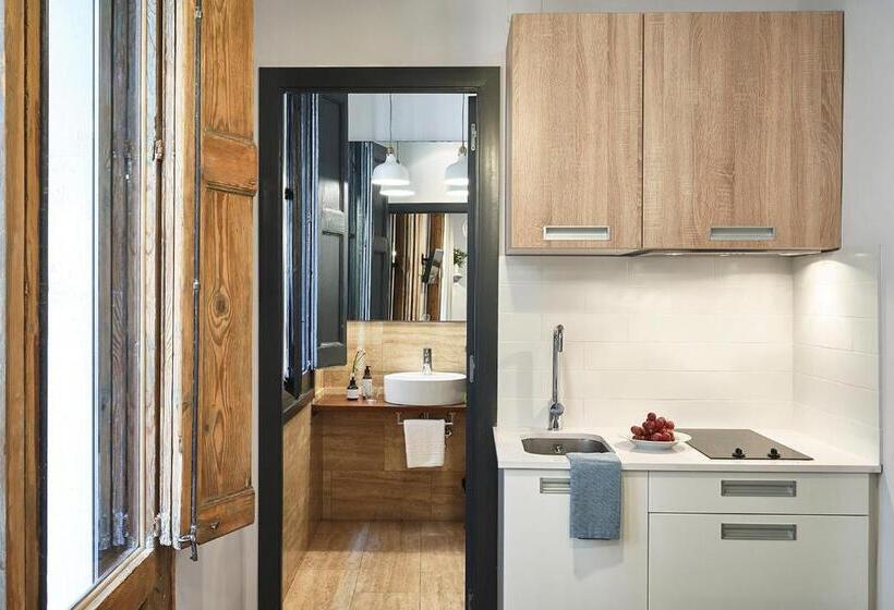 Студия Стандарт, Ainb Gothic Jaume I Apartments