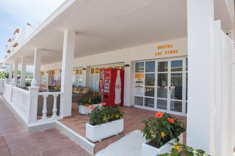 スタンダードルーム, Hostal Los Pinos