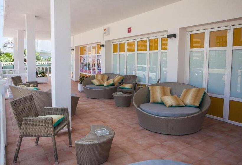 スタンダードシングルルーム, Hostal Los Pinos