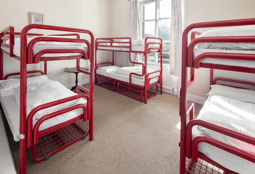 Кровать в Общей Комнате, Astor York Hostel