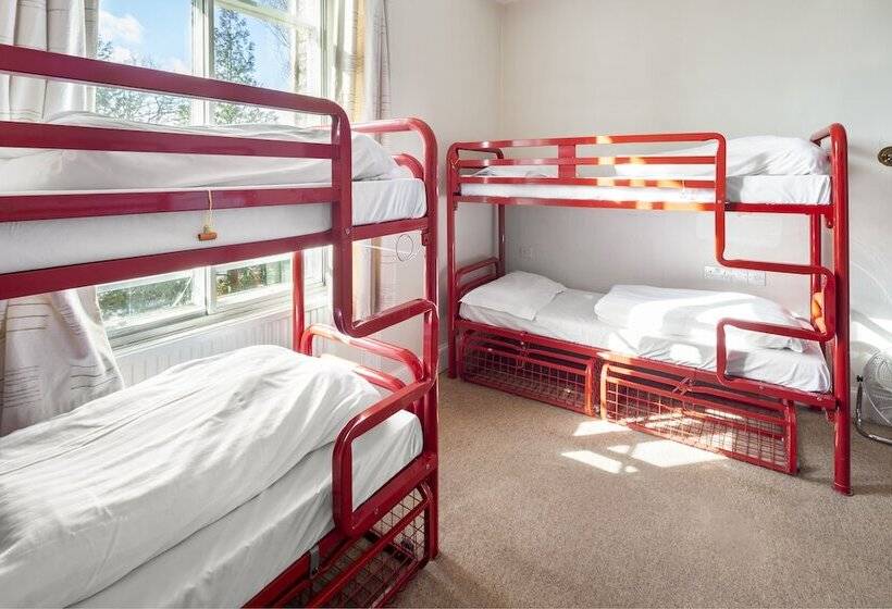 تختخواب در اتاق مشترک, Astor York Hostel