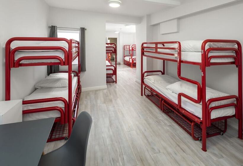 تختخواب در اتاق مشترک, Astor York Hostel