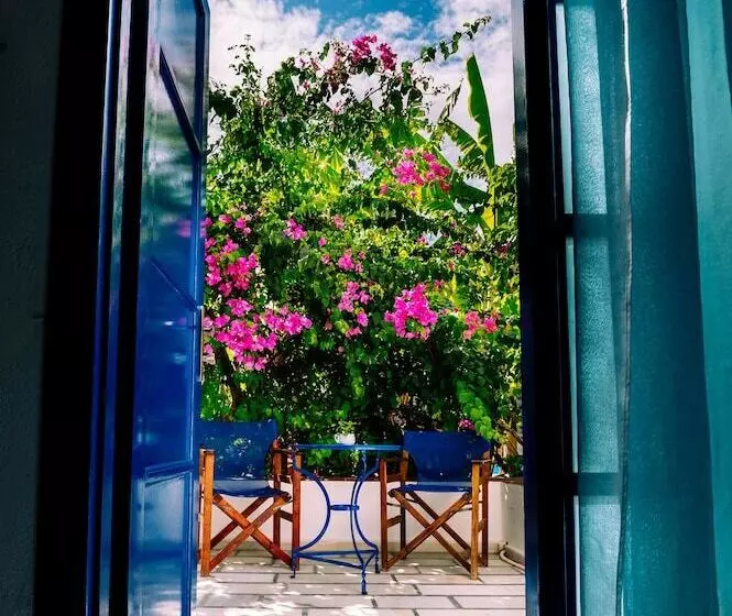 نمای استخر اتاق استاندارد چهارنفره, John S Rooms & Studios