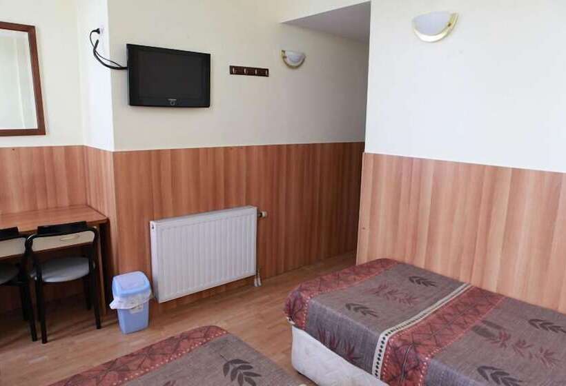 StandaardKamer, Aristote