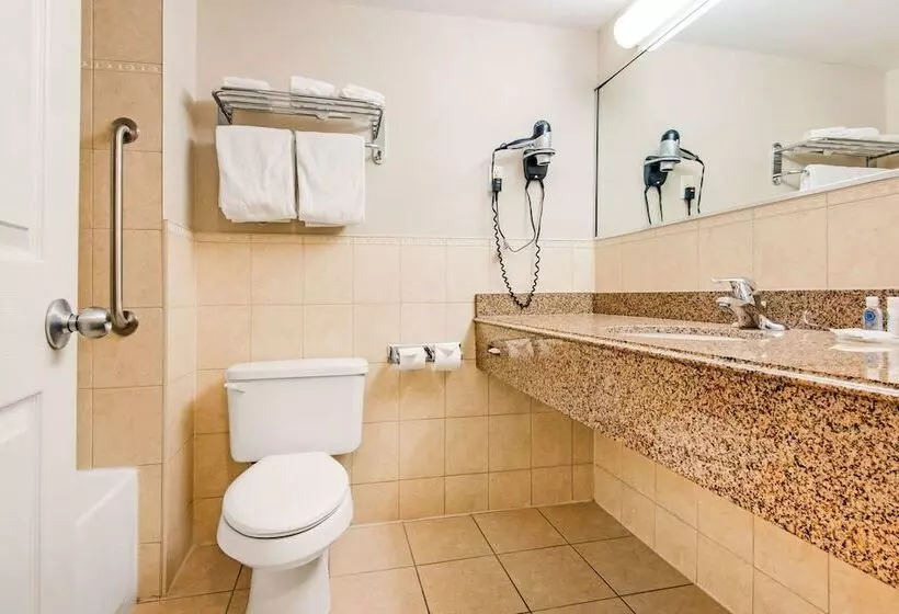 ２ダブルベッドのスタンダードルーム, Comfort Inn Fallsview