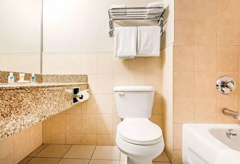 ２ダブルベッドのスタンダードルーム, Comfort Inn Fallsview