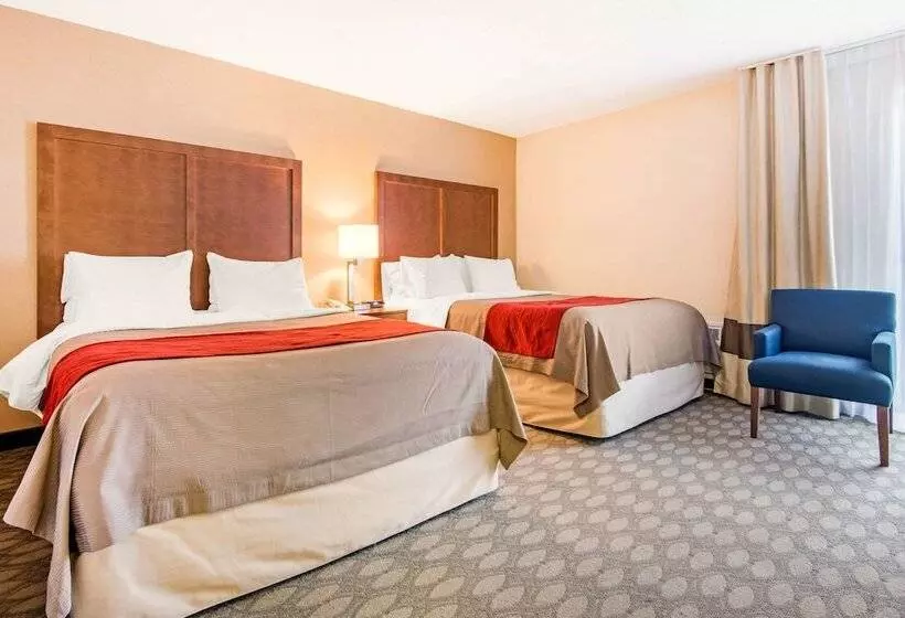 ２ダブルベッドのスタンダードルーム, Comfort Inn Fallsview