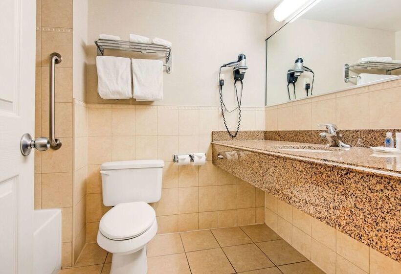 חדר סטנדרט נוף לנהר, Comfort Inn Fallsview