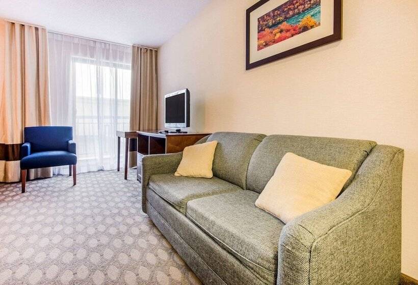 חדר סטנדרט נוף לנהר, Comfort Inn Fallsview