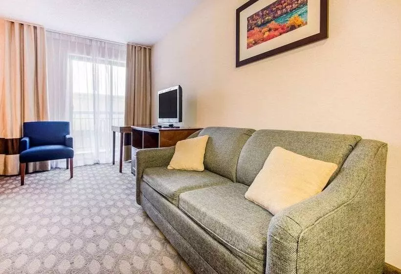 リバービュースタンダードルーム, Comfort Inn Fallsview