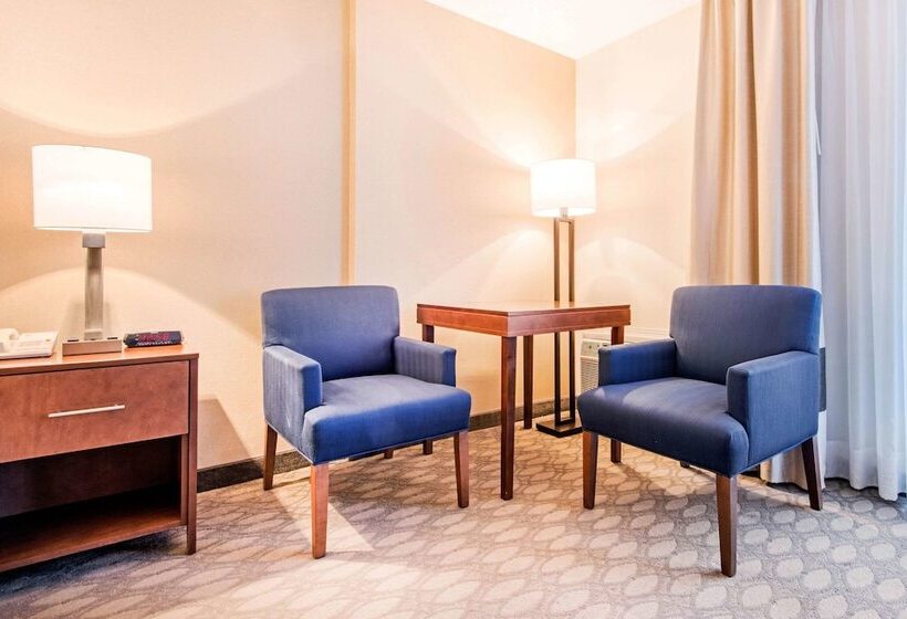 חדר סטנדרט נוף לנהר, Comfort Inn Fallsview